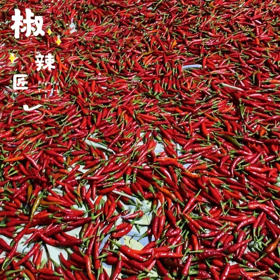 「椒辣匠」辣椒醬 沾醬(香菜入醬料醃製後變色屬正常現象，可放心食用）-細節圖8