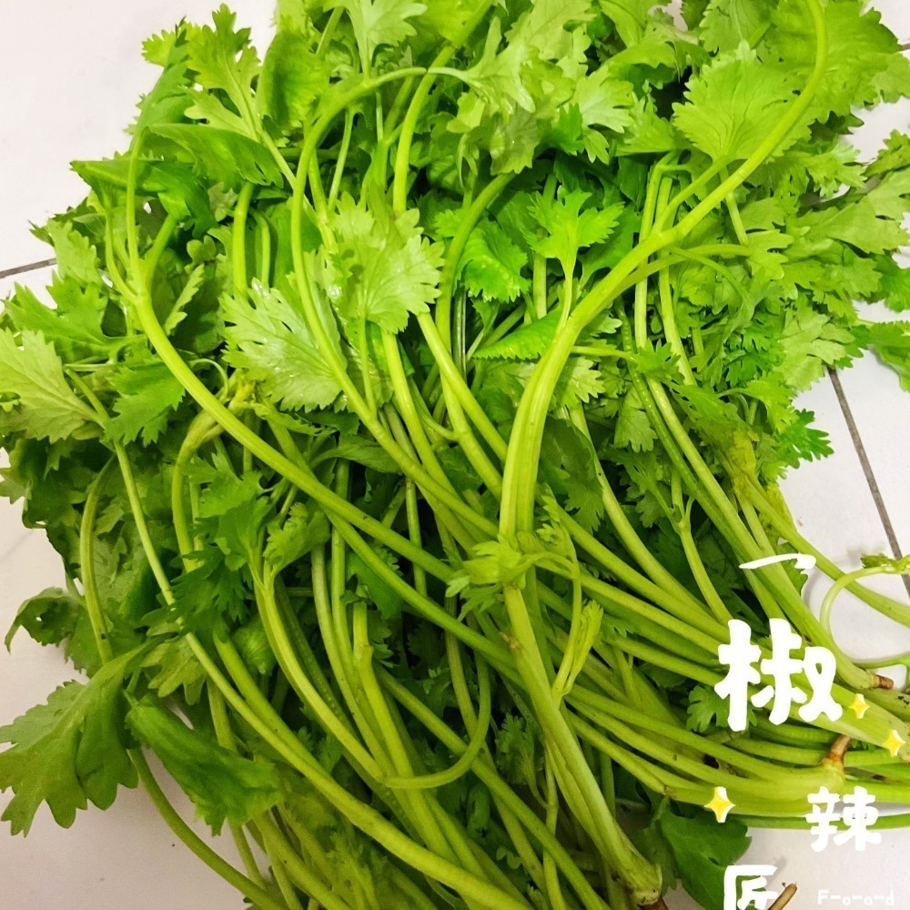 「椒辣匠」辣椒醬 沾醬(香菜入醬料醃製後變色屬正常現象，可放心食用）-細節圖5