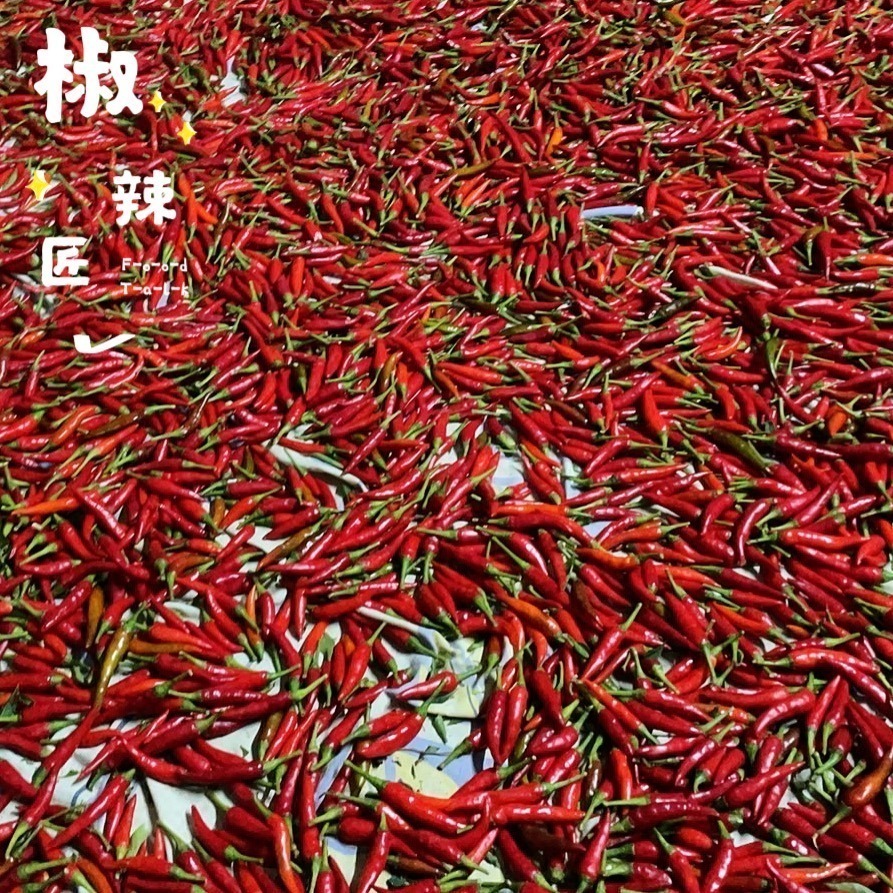 「椒辣匠」辣椒醬 沾醬(香菜入醬料醃製後變色屬正常現象，可放心食用）-細節圖8