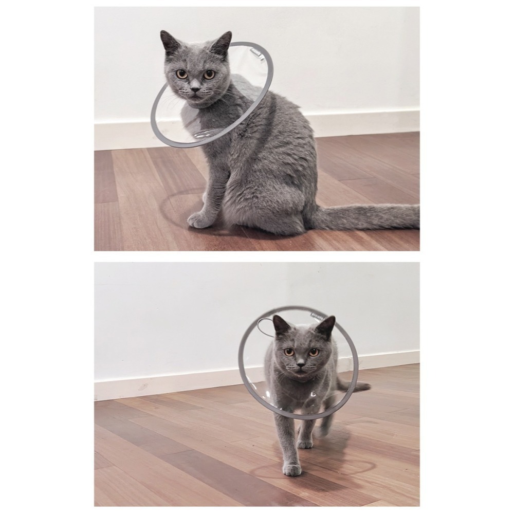 台灣現貨 + 預購 * 伊莉莎白圈貓咪絕育術後護理項圈透明防水PVC狗狗防舔咬寵物脖套-細節圖4