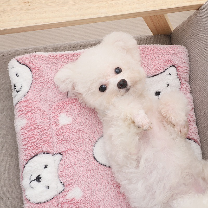 台灣現貨 + 預購 * 寵物墊加厚秋冬保暖貓咪狗狗墊子防滑毛毯坐墊-細節圖4