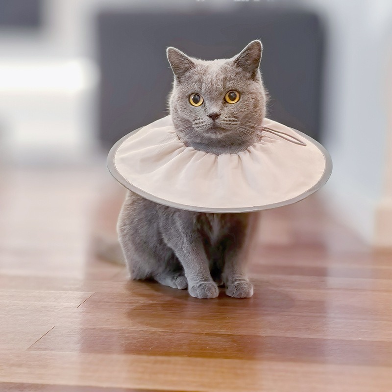 台灣現貨 + 預購 * 寵物伊莉莎白圈絕育護理項圈貓咪狗狗美容脖圈防舔咬小型犬頭套-細節圖3