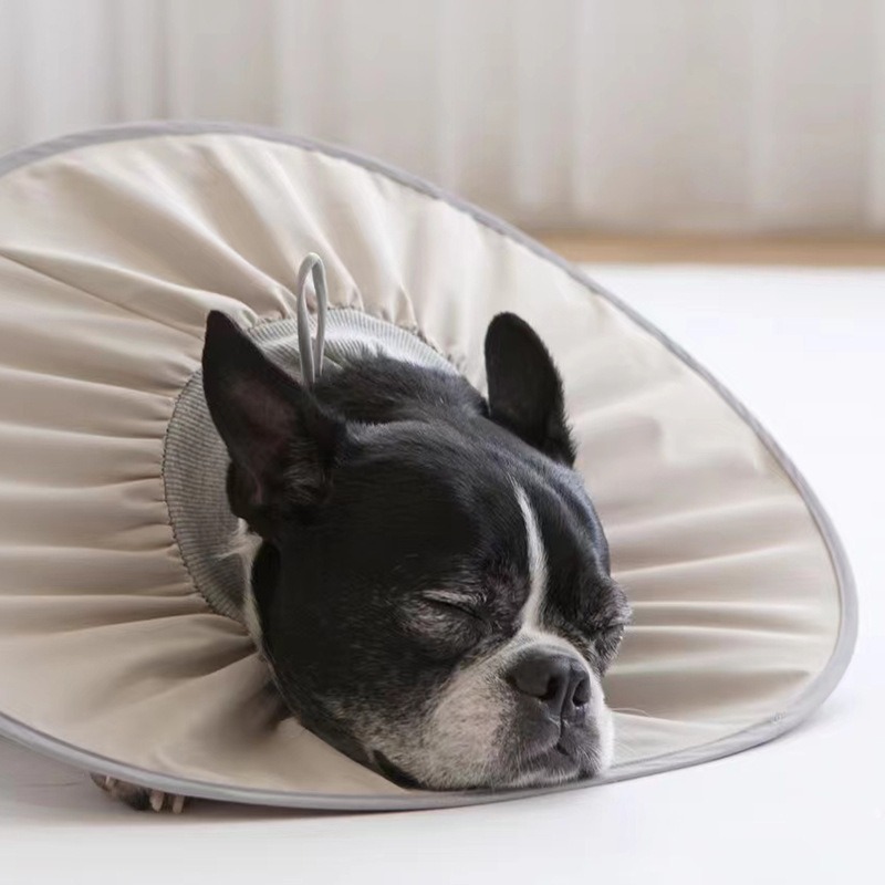 台灣現貨 + 預購 * 寵物伊莉莎白圈絕育護理項圈貓咪狗狗美容脖圈防舔咬小型犬頭套-細節圖4