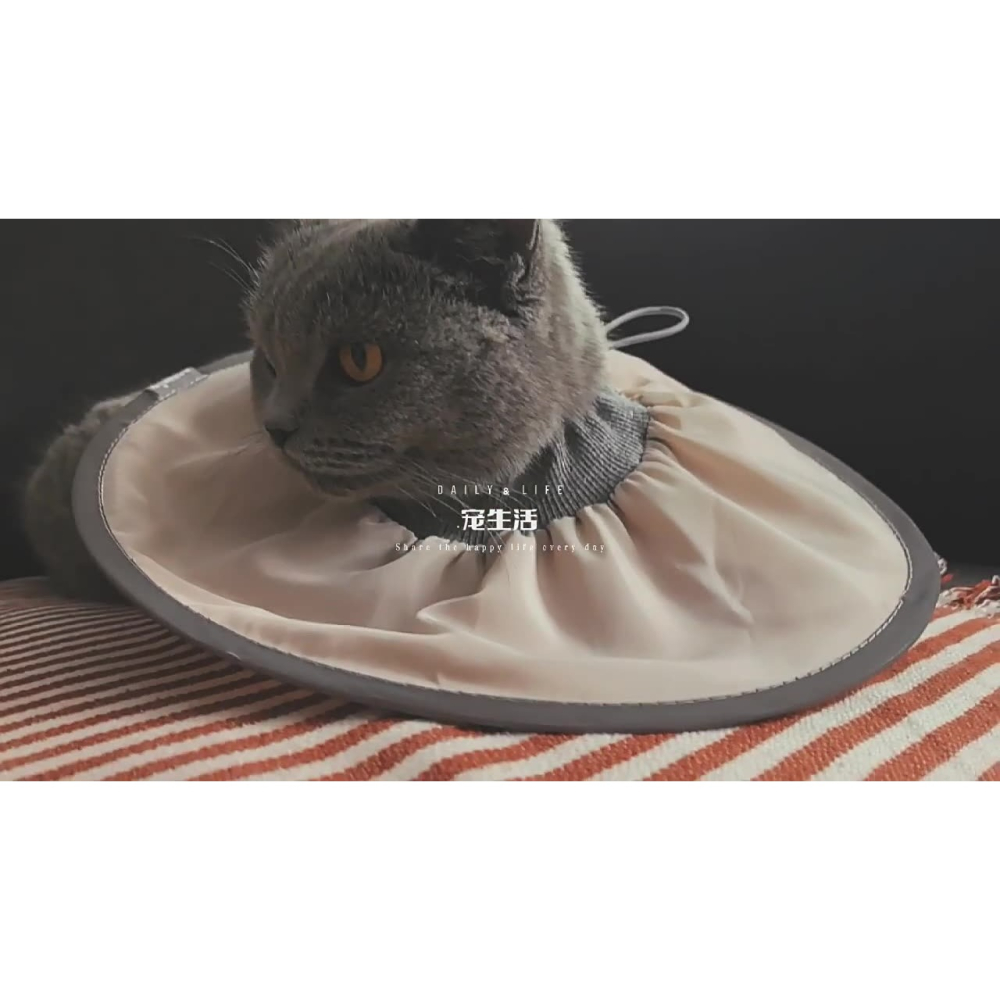 台灣現貨 + 預購 * 寵物伊莉莎白圈絕育護理項圈貓咪狗狗美容脖圈防舔咬小型犬頭套-細節圖5