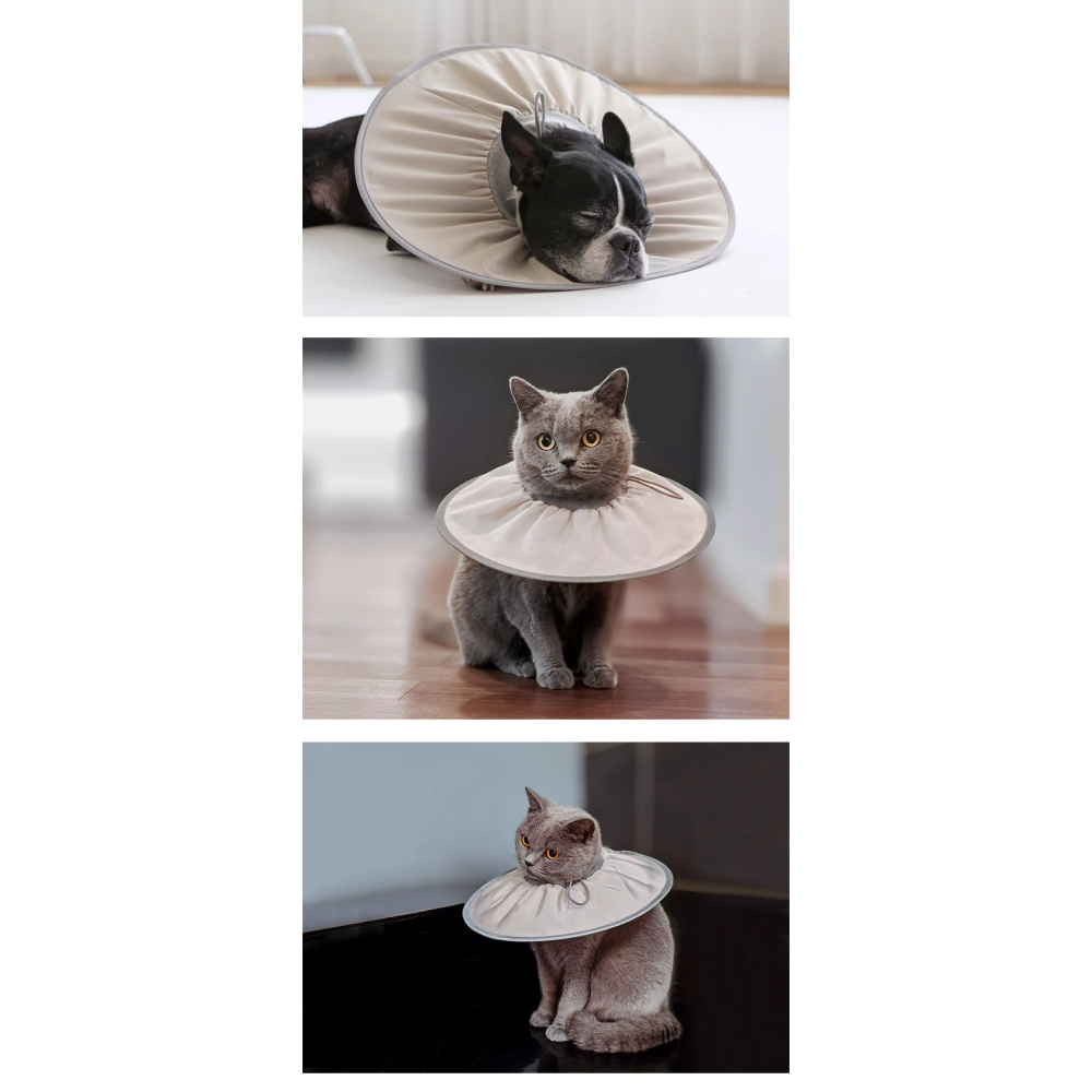 台灣現貨 + 預購 * 寵物伊莉莎白圈絕育護理項圈貓咪狗狗美容脖圈防舔咬小型犬頭套-細節圖6