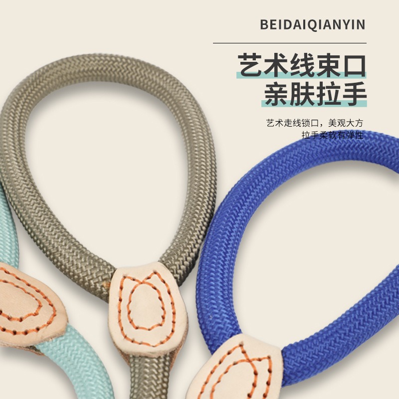 預購款C189/狗狗牽引繩防爆衝一體成型P繩P鏈加粗狗繩遛狗繩狗鏈小中大型犬通用-細節圖2