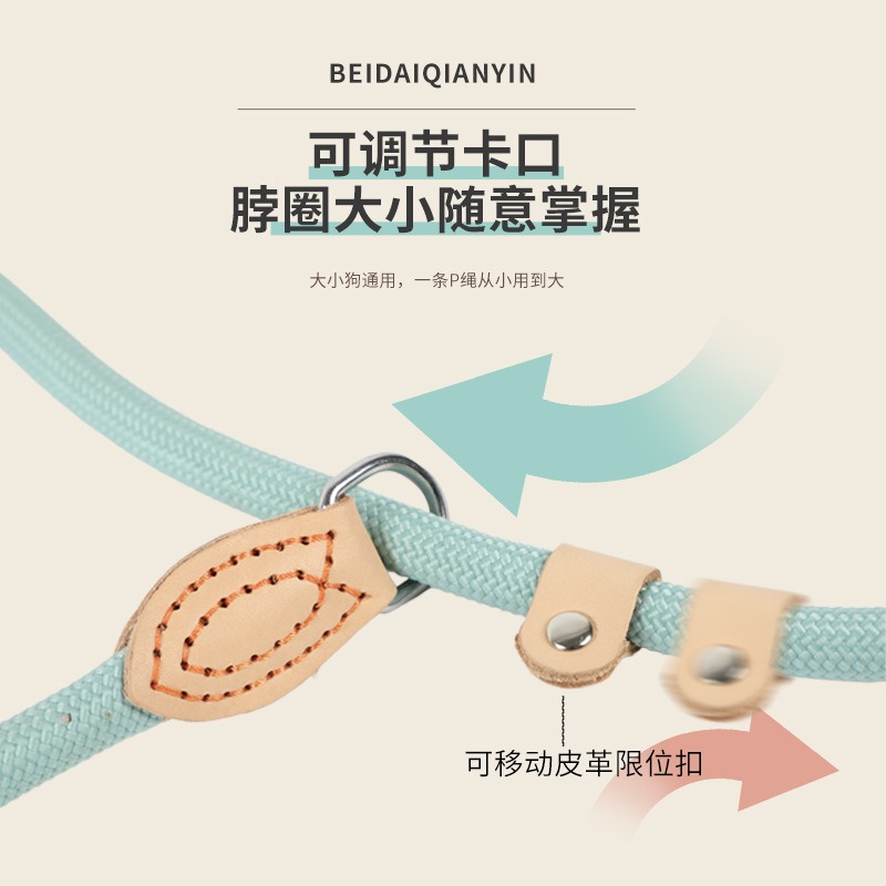 預購款C189/狗狗牽引繩防爆衝一體成型P繩P鏈加粗狗繩遛狗繩狗鏈小中大型犬通用-細節圖3