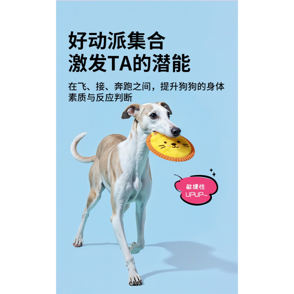 預購款C191/狗狗飛盤玩具毛絨發聲互動耐咬磨牙用品耐咬寵物邊牧訓練/W19-R-ZC75-細節圖6