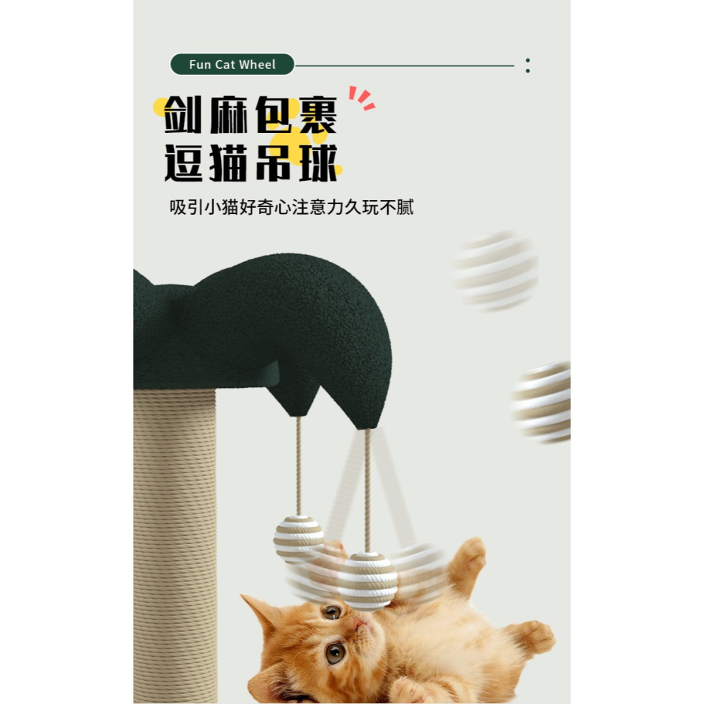 預購款C245/貓咪自嗨實木貓轉盤貓抓柱逗貓棒貓咪抓板劍麻貓爬架-細節圖5