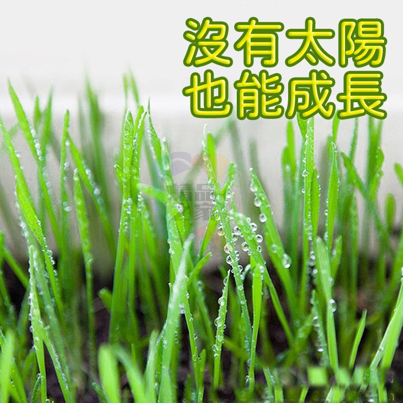 【宸欣國際】 Cxin LED植物生長燈 全波長紅藍光 萬用補光燈 室內植物燈 多肉植物燈 補光燈 全光譜 開立發票-細節圖6