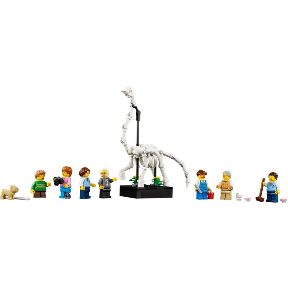 有泰積木高雄實體倉庫LEGO 10326 自然歷史博物館 樂高 街景 ICONS系列樂高盒組-細節圖3