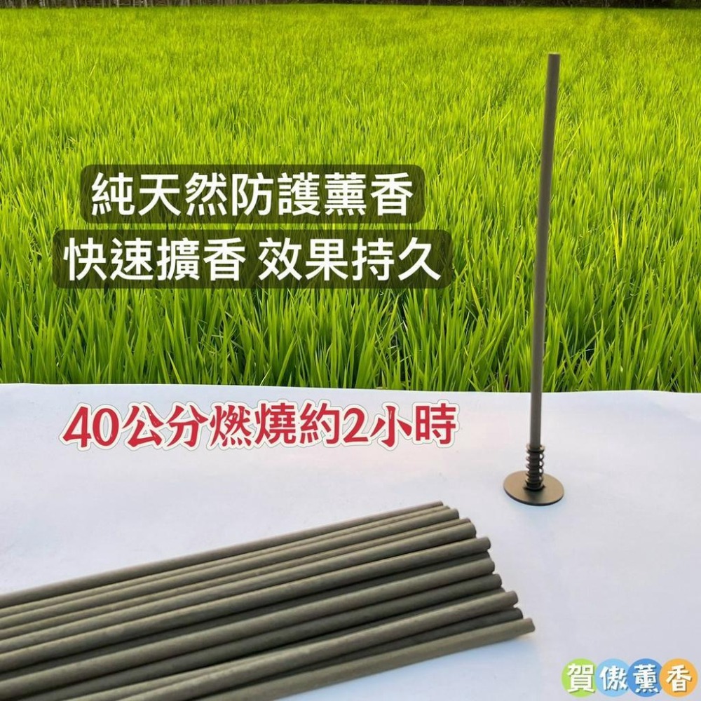 🌿40cm艾草薰香棒 ✨組合優惠價 🥮中秋烤肉 戶外 居家 露營 海釣 野餐 艾草蚊香-細節圖2