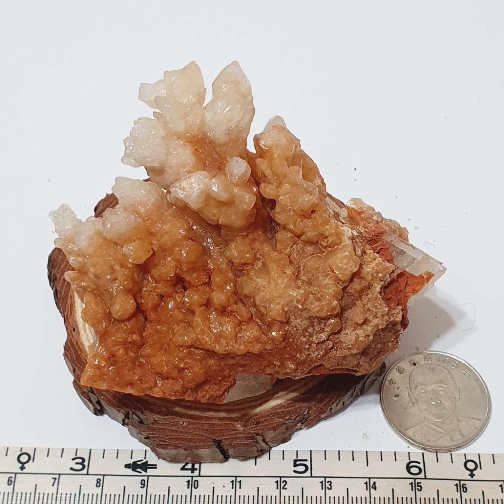199g 黃色 结晶 晶花 +原木片底座 原礦 礦石 原石 水晶 收藏 禮物-細節圖3