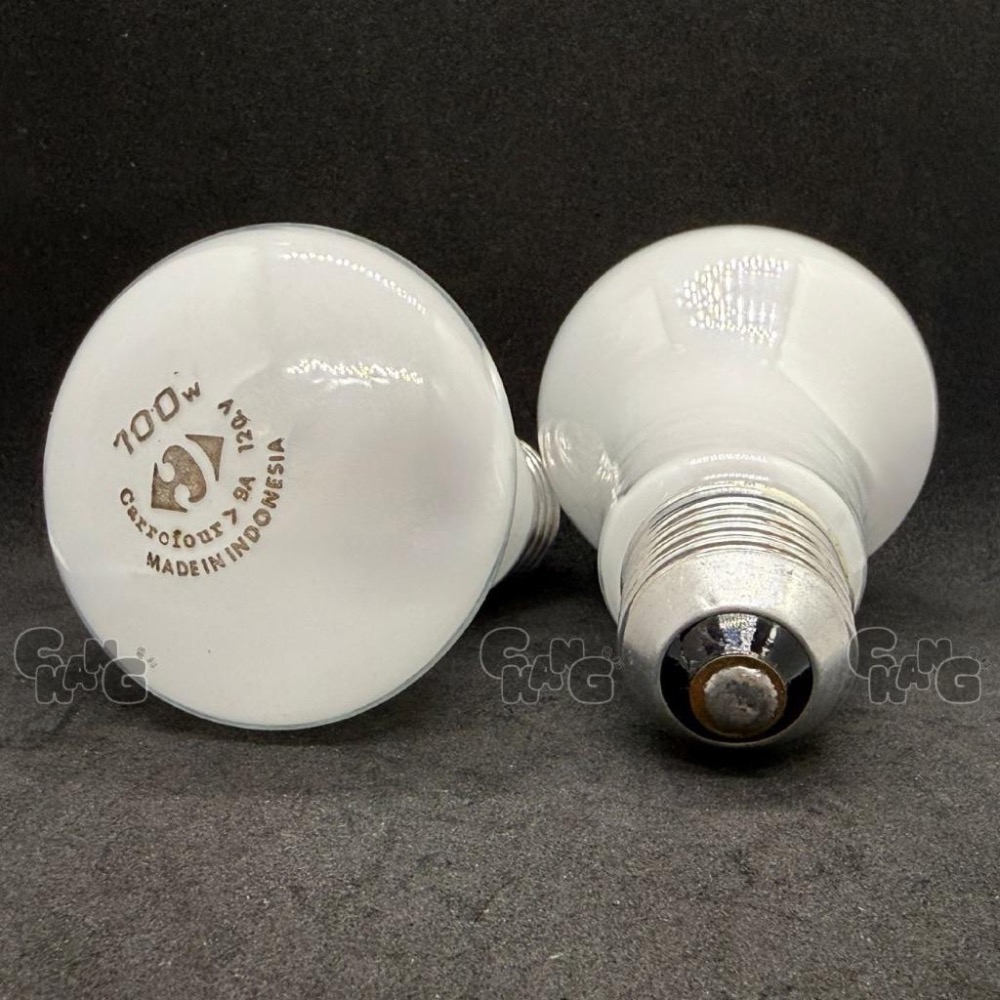 💧CHANG電料⚡️【家福亮光燈泡 100W E27燈頭】傳統燈泡 鎢絲燈泡 家用燈泡 真柔泡 燈泡 白熾燈泡絕版-細節圖4