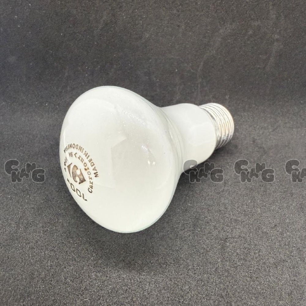 💧CHANG電料⚡️【家福亮光燈泡 100W E27燈頭】傳統燈泡 鎢絲燈泡 家用燈泡 真柔泡 燈泡 白熾燈泡絕版-細節圖5