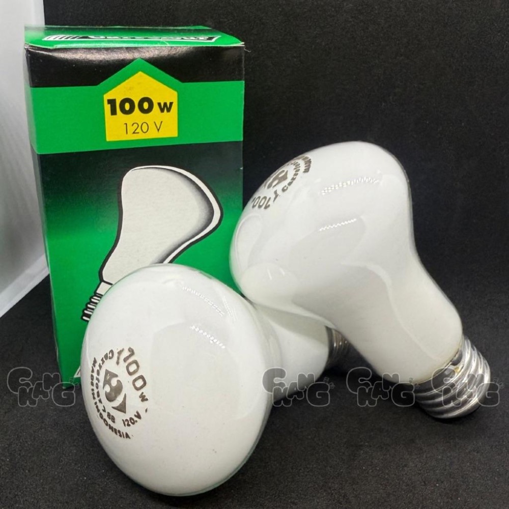 💧CHANG電料⚡️【家福 柔光燈泡 100W】E27 鎢絲燈泡 傳統燈泡 柔光 家用燈泡 絕版稀少 真柔燈泡 飛利浦-細節圖6