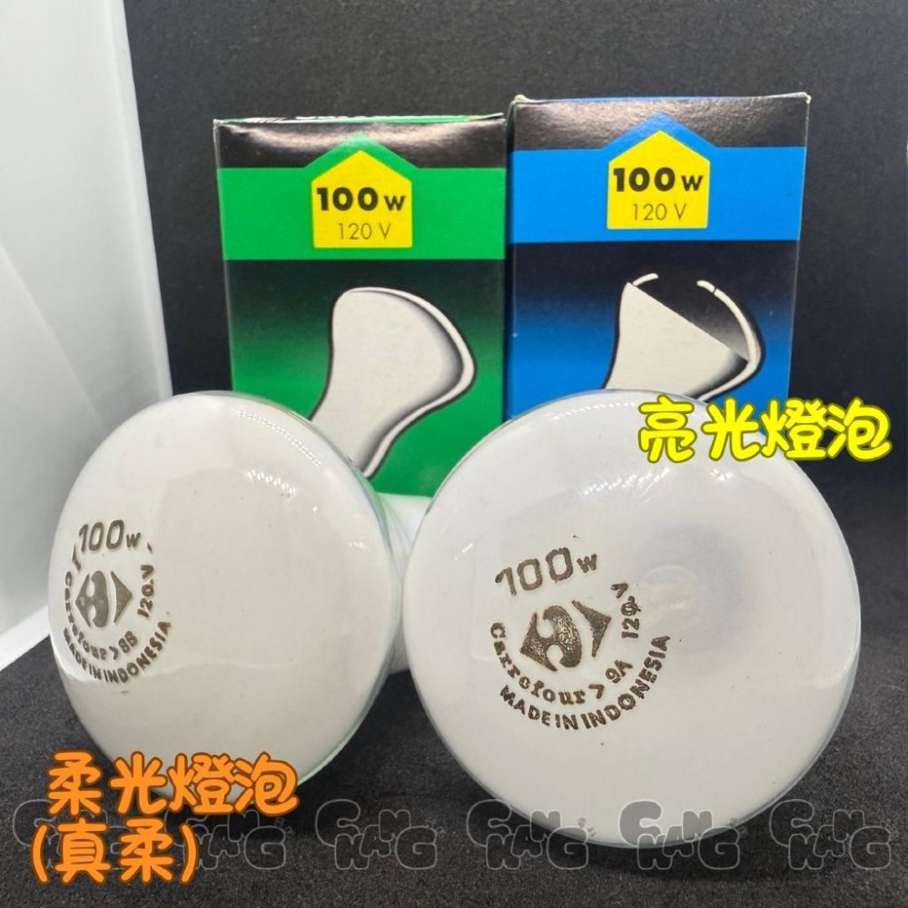 💧CHANG電料⚡️【家福 柔光燈泡 100W】E27 鎢絲燈泡 傳統燈泡 柔光 家用燈泡 絕版稀少 真柔燈泡 飛利浦-細節圖8