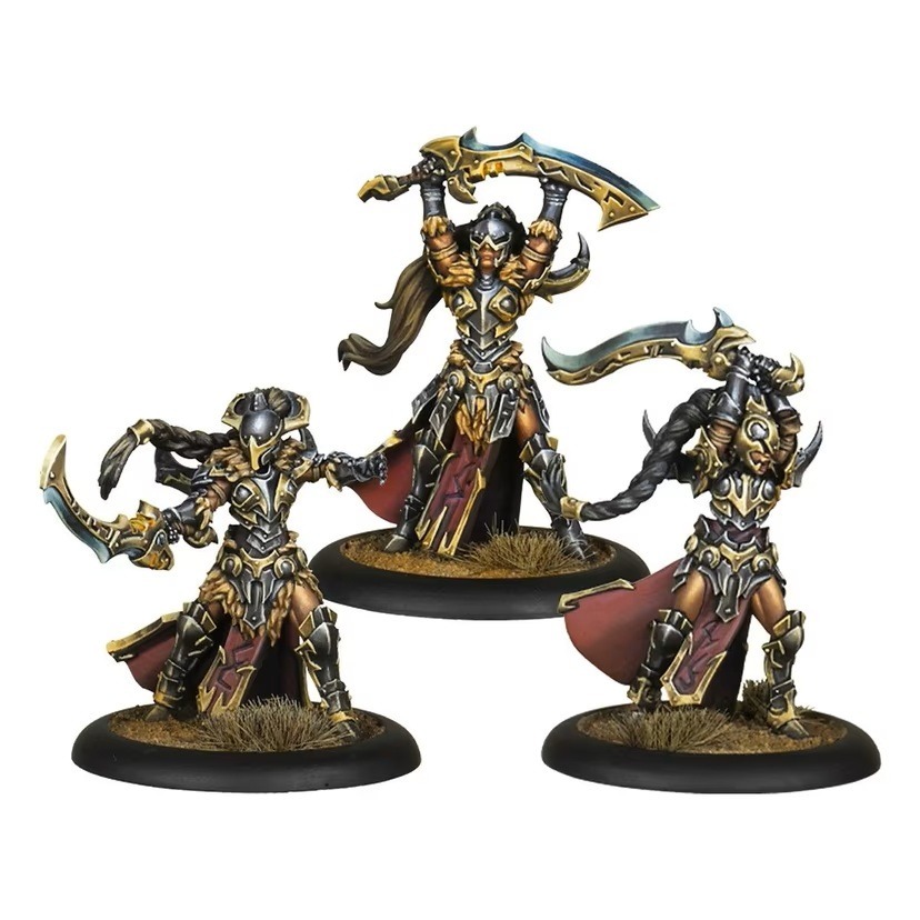 Warmachine-戰爭機甲: Orgoth Sea Raiders Core Expansion-細節圖4