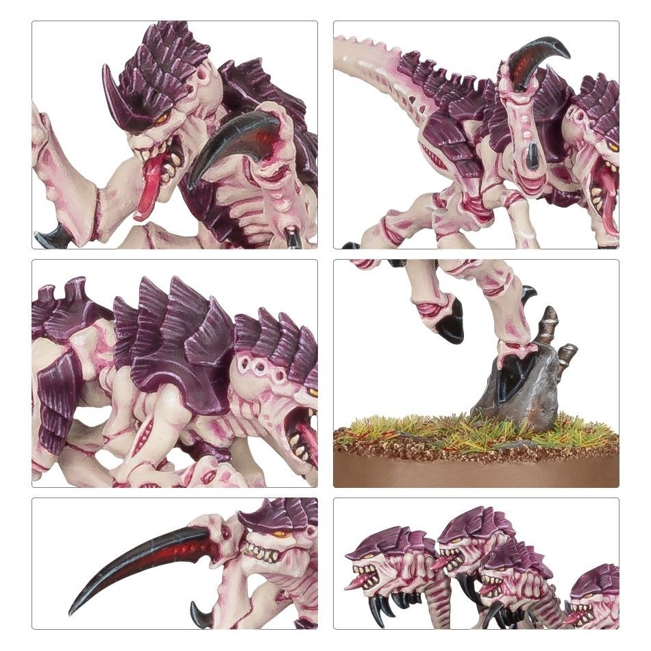 【戰鎚40K】Tyranids: Hormagaunts - 泰倫蟲族刀蟲-細節圖3