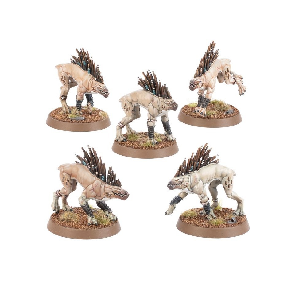 【戰鎚40k】T＇Au Empire: Kroot Hounds - 鈦帝國：克魯特獵犬-細節圖2