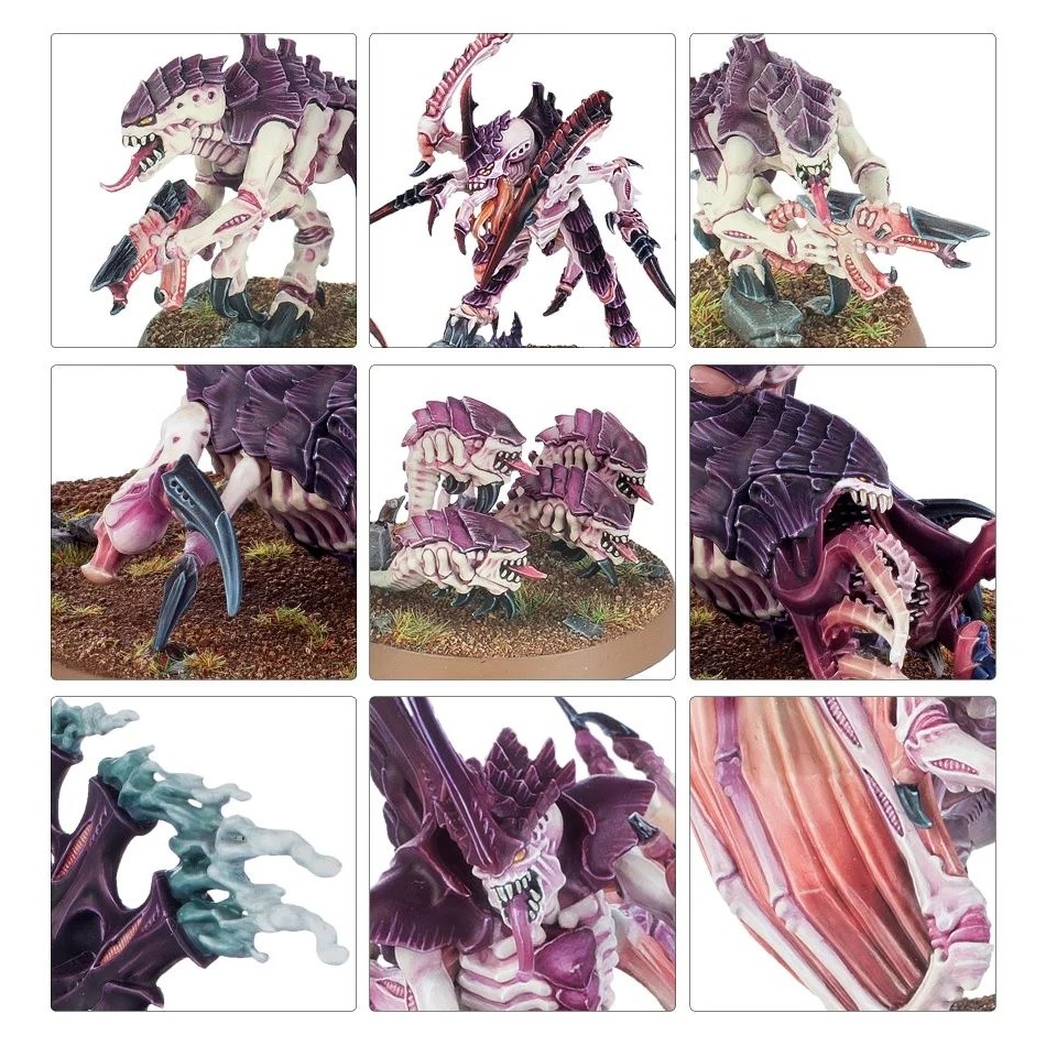 【戰鎚40k】Ultimate Starter Set (English) - 戰鎚40K：終極入門套裝(英文版)-細節圖6