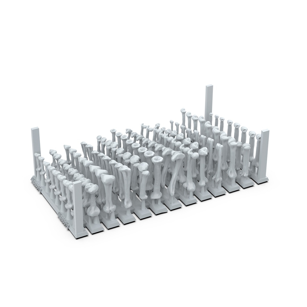 AKBIT0013 - Basing Bit - Wargame Scenery - Human Bones-細節圖2