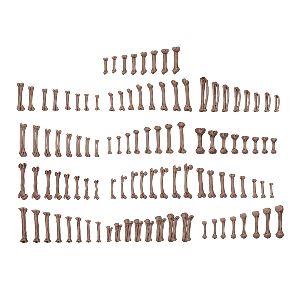 AKBIT0013 - Basing Bit - Wargame Scenery - Human Bones-細節圖3