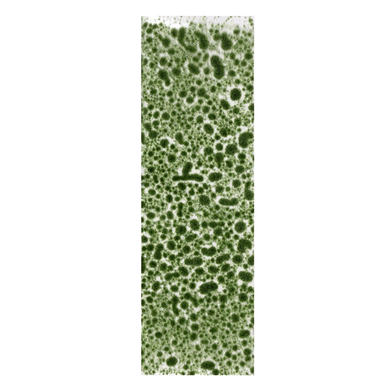 AK8132 - Vegetation - Realistic Green Moss - 植被 - 寫實綠苔癬-細節圖2