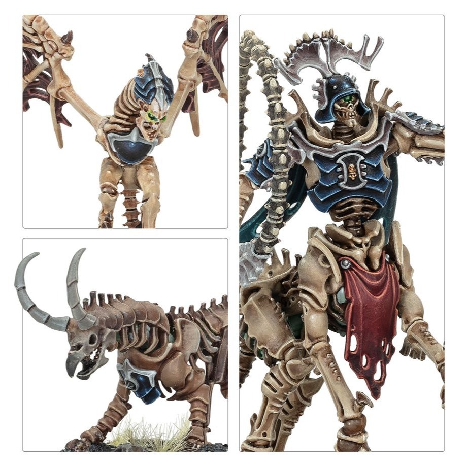【戰鎚AOS】Ossiarch : Spearhead-Kavalos Vanguard-先鋒軍：殮骨骸軍：骨騎先鋒隊-細節圖3