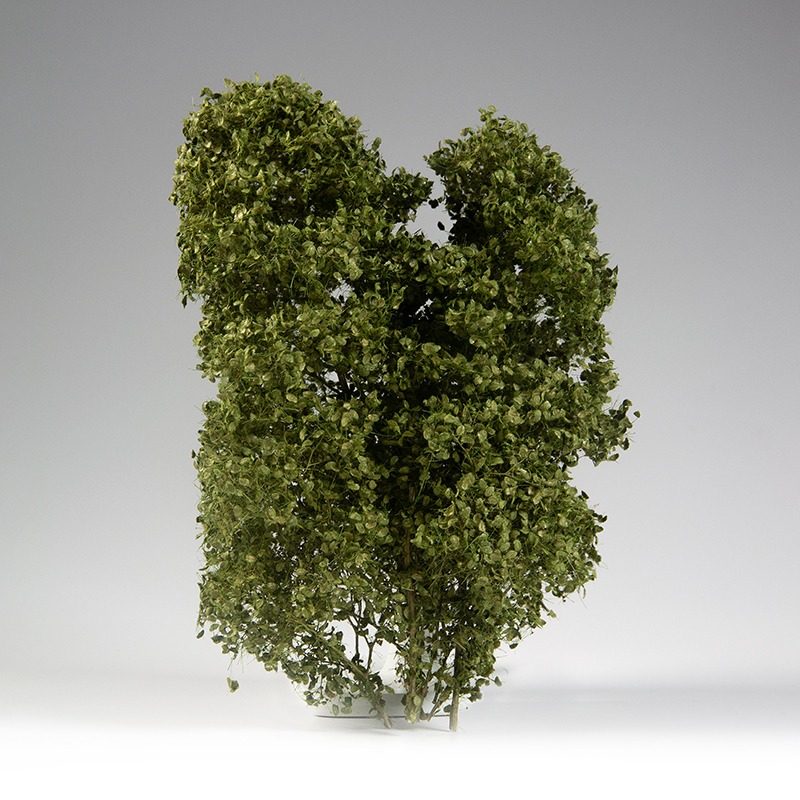 AK8237 - Dioramas - Summer Filigree Bushes 1:35 -造景 - 夏季花絲叢-細節圖3