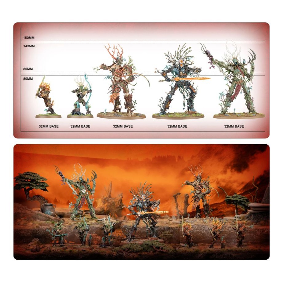 【戰鎚AOS】Sylvaneth: Battleforce - Strongroot Grove - 樹海靈木：堅根林地-細節圖5