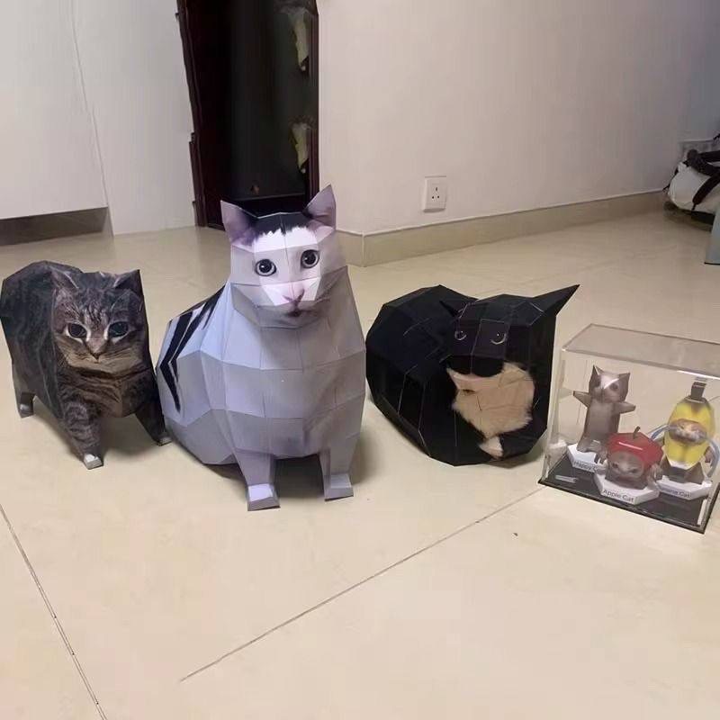 6種貓各一（套）