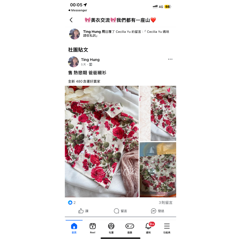 Ting Hung-細節圖3