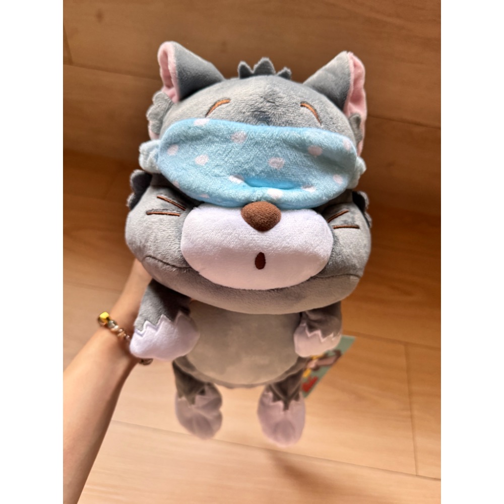 再睡五分鐘-湯姆貓睡覺-細節圖2