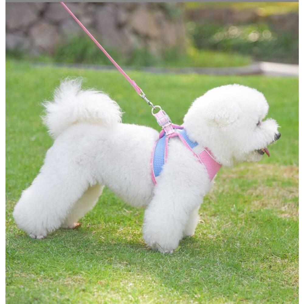 ✨台灣現貨 ✨ 寵物胸背帶 寵物牽引繩 狗狗胸背帶 貓咪胸背帶 防暴衝胸背帶 背心胸背帶  貓背心 狗背心-細節圖9