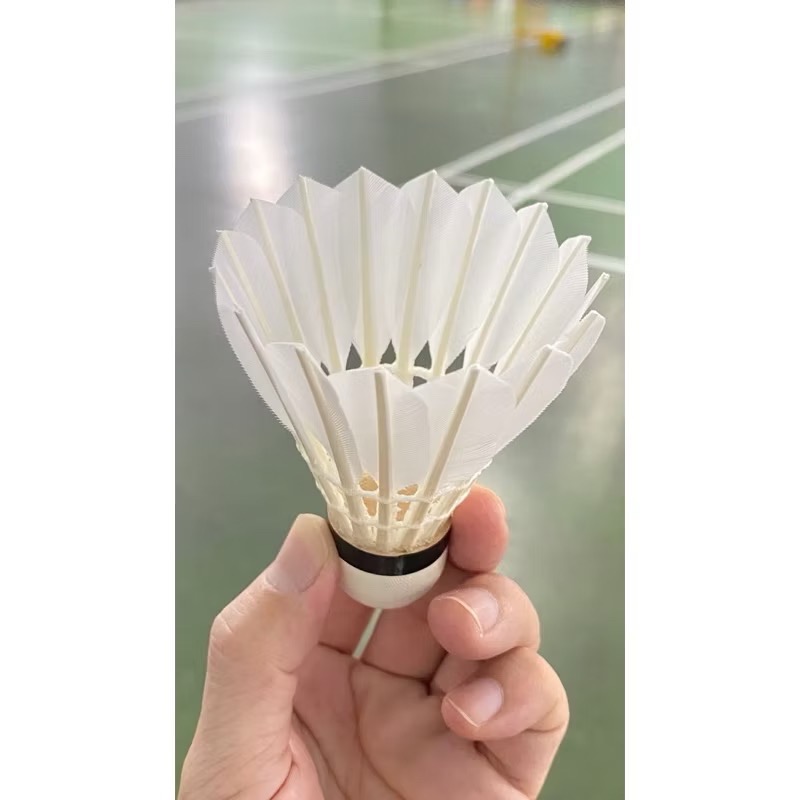 現貨 適合冬天的羽球 無標 耐打高CP值77速羽毛球 毛片漂亮的羽球-細節圖2