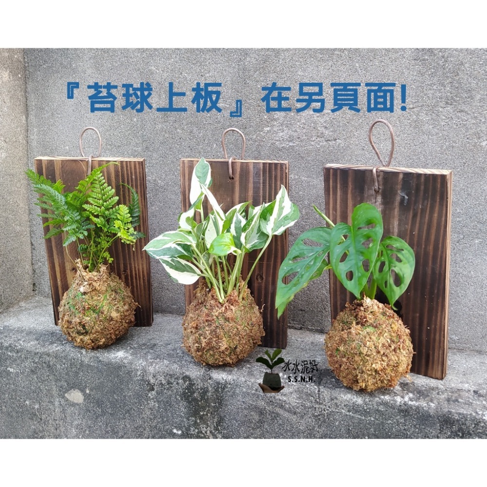 苔球上板 在另頁面