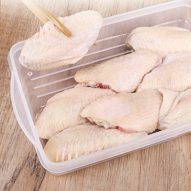 EY.日本製【SANADA】肉片保鮮盒、冷凍庫肉品保鮮盒-細節圖3