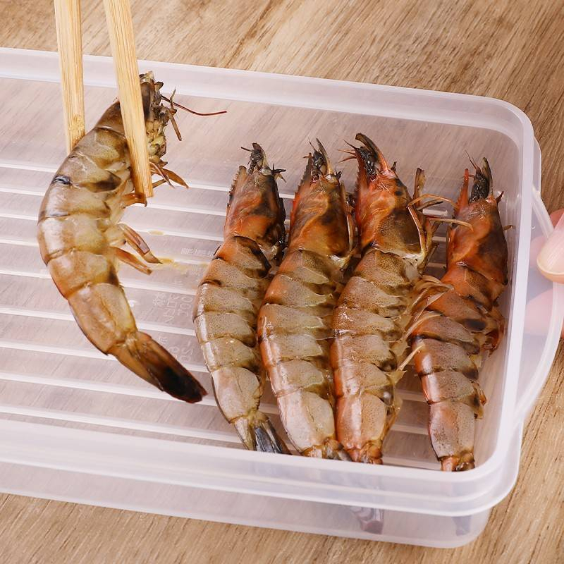 EY.日本製【SANADA】肉片保鮮盒、冷凍庫肉品保鮮盒-細節圖4