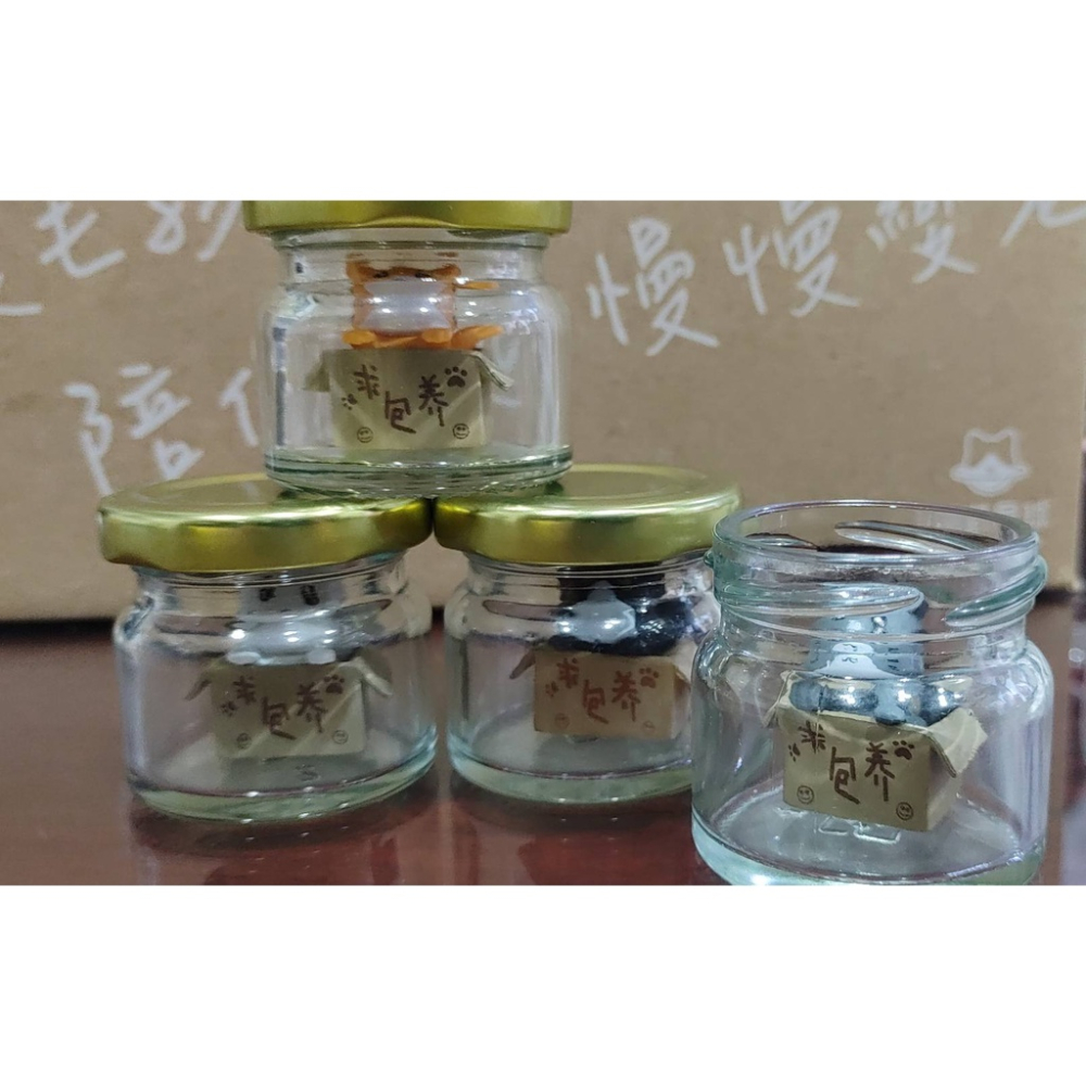 GY.Ж 萌貓求包養公仔玩偶.微景觀擺飾.多肉植物擺飾.烘焙裝飾工具.療癒小物.拍照道具◇-細節圖2