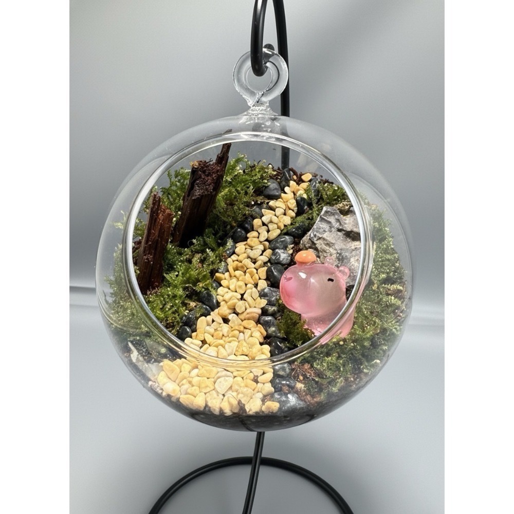 【霧生之原】🌿 【療癒系手作】搖擺森林：日系可愛苔蘚玻璃球 | 🌲 DIY苔蘚生態瓶、微觀森林、新手友善-細節圖2