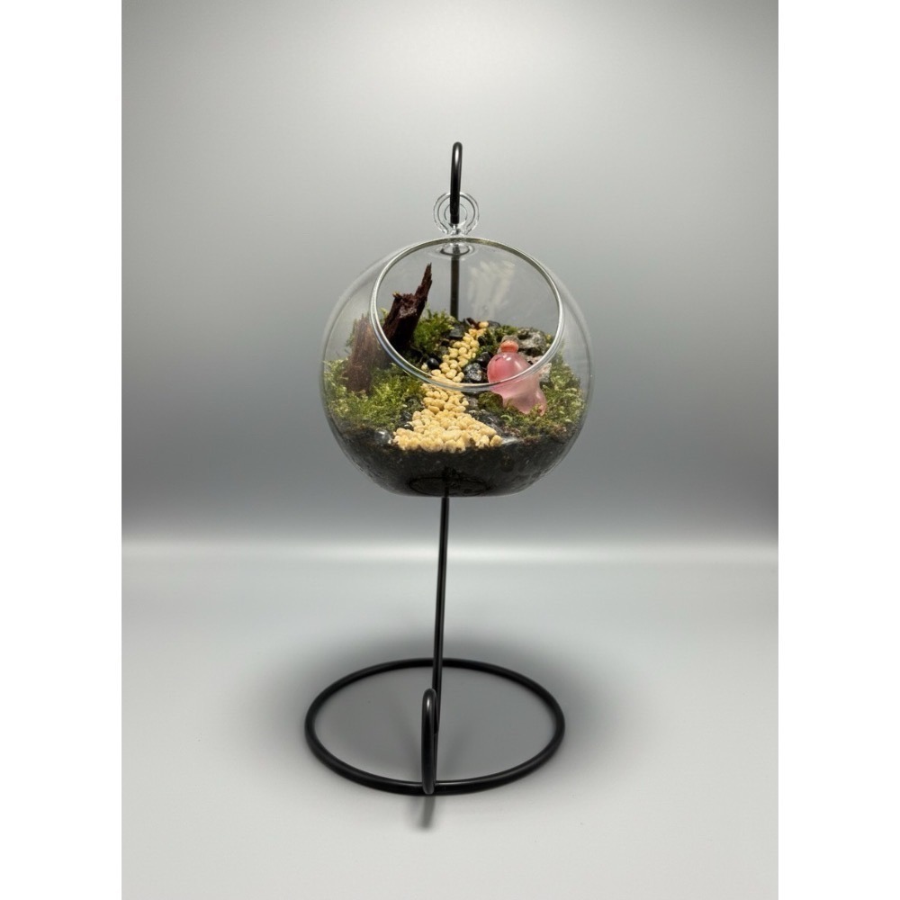 【霧生之原】🌿 【療癒系手作】搖擺森林：日系可愛苔蘚玻璃球 | 🌲 DIY苔蘚生態瓶、微觀森林、新手友善-細節圖3