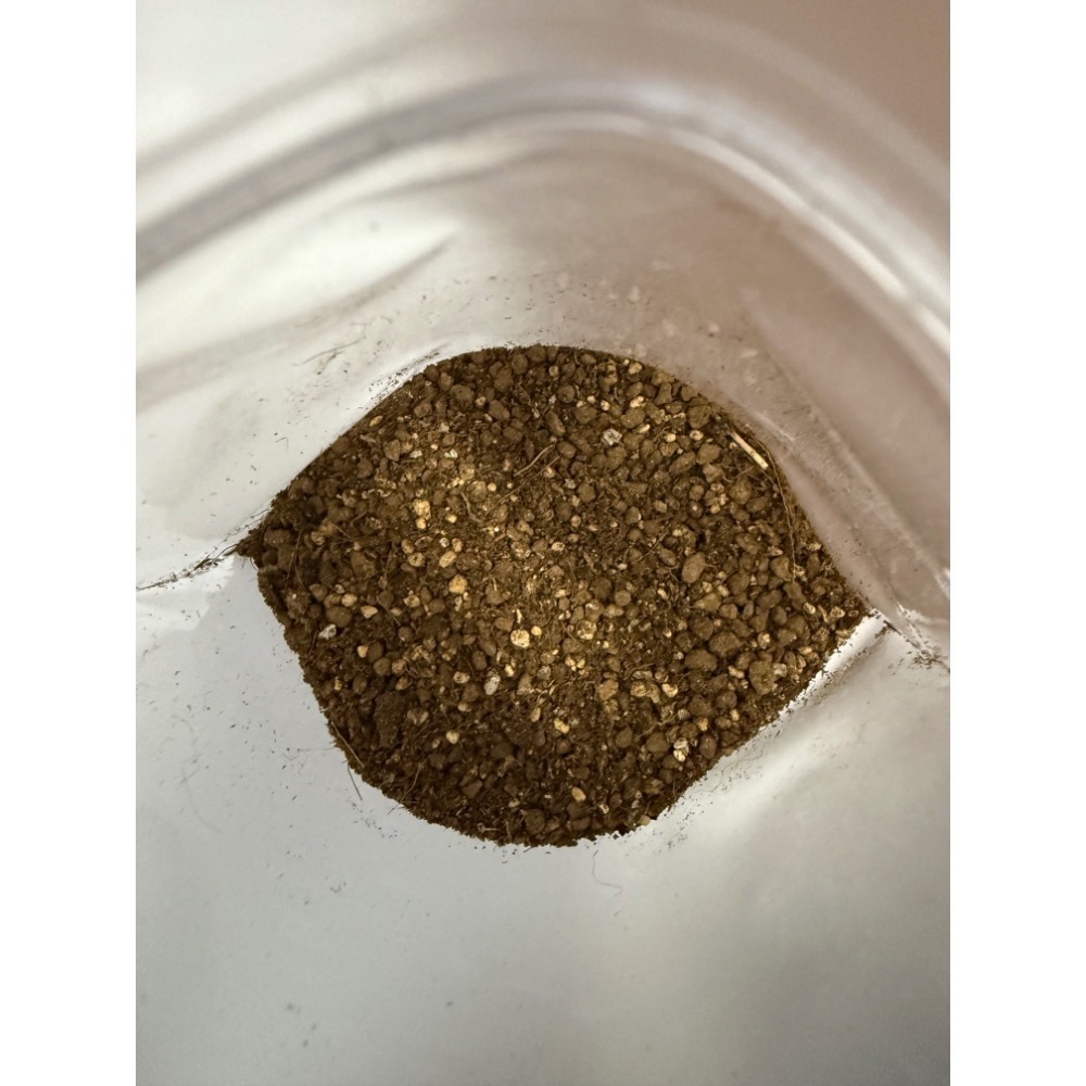 24小時快速出貨-【微景觀專用】長效鎖濕苔蘚培養土 500ML-細節圖2