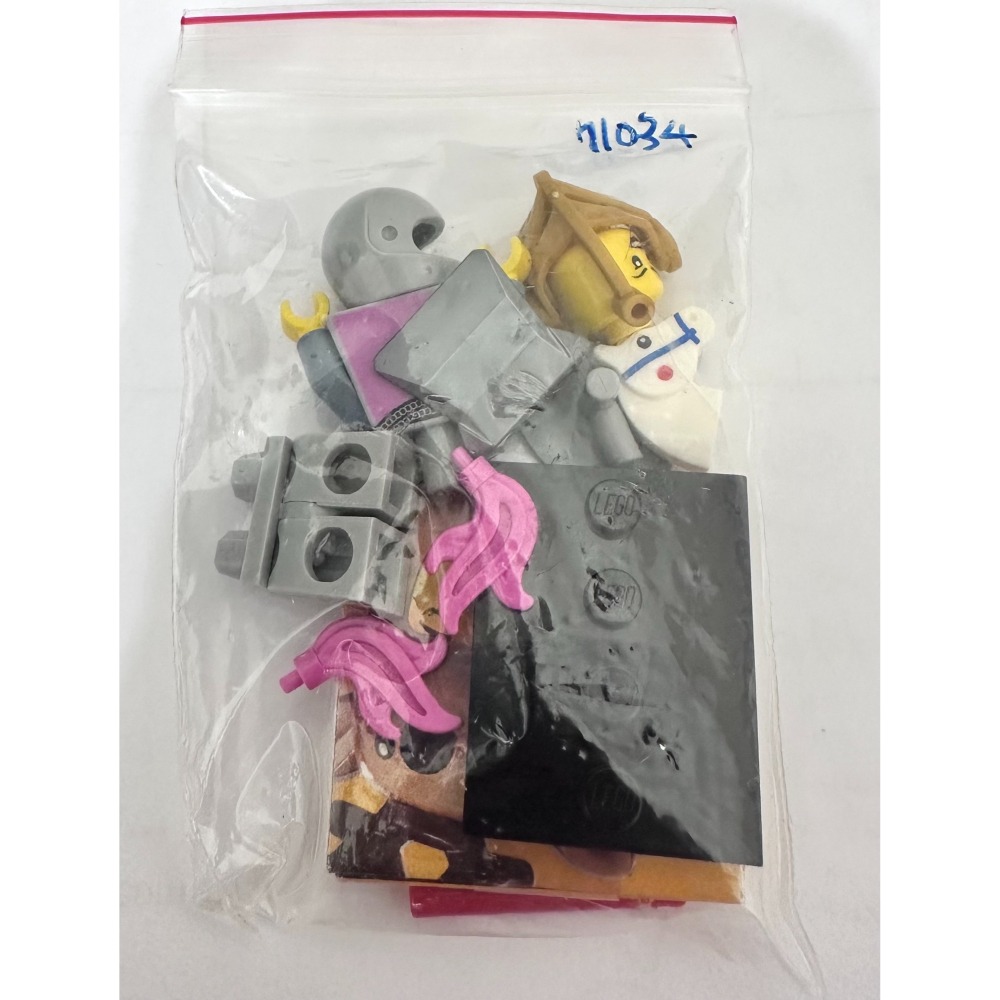 LEGO 樂高 71034 23代 人偶包 女騎士 10305 21348 71047 星際大戰-細節圖2