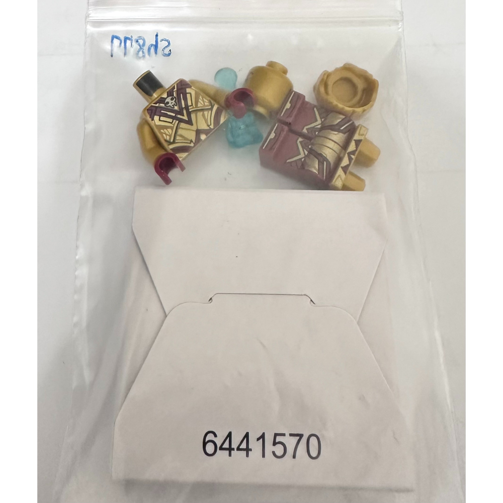 LEGO 樂高 76255 sh0877 亞當 術士 星際異攻隊 漫威 10305 10316 42207  星際大戰-細節圖2