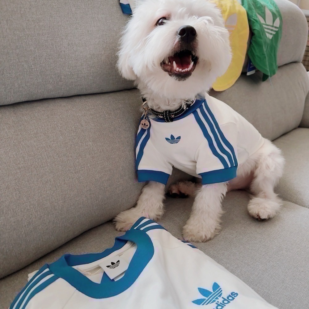 【預購】每日空運回台 adidas originals 上海限定寵物系列代購 愛迪達寵物衣 愛迪達寵物運動衫賣場-細節圖2