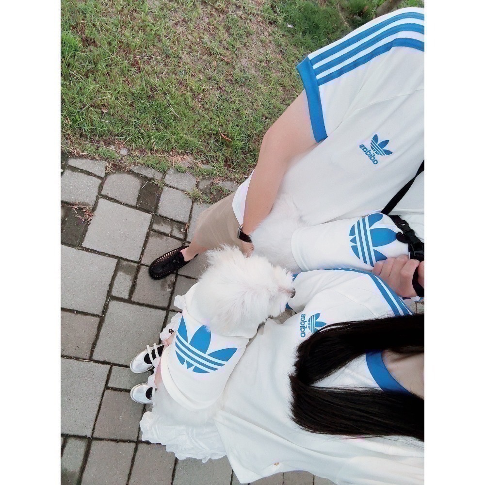 【預購】每日空運回台 adidas originals 上海限定寵物系列代購 愛迪達寵物衣 愛迪達寵物運動衫賣場-細節圖5