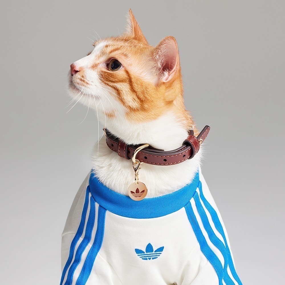 【預購】每日空運回台 adidas originals 上海限定寵物系列代購 愛迪達寵物項圈 真牛皮鉚釘項圈 賣場-細節圖3