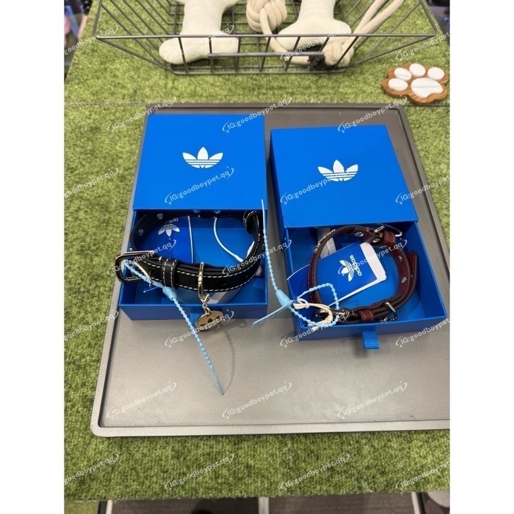 【預購】每日空運回台 adidas originals 上海限定寵物系列代購 愛迪達寵物項圈 真牛皮鉚釘項圈 賣場-細節圖4
