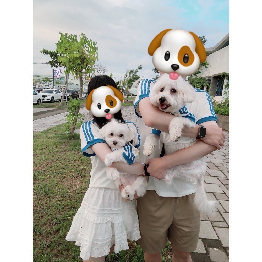 【預購】adidas originals 上海限定寵物系列代購 愛迪達寵物親子裝 adicolor 運動短袖 短T賣場-細節圖5